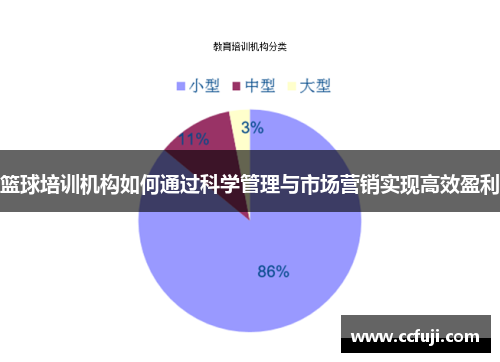 篮球培训机构如何通过科学管理与市场营销实现高效盈利